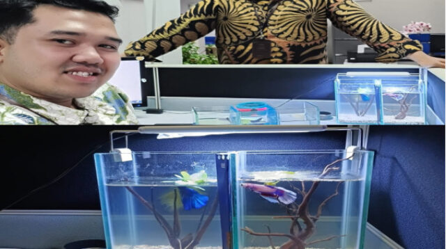 IMG 20251222 WA0057 Klik Pantura