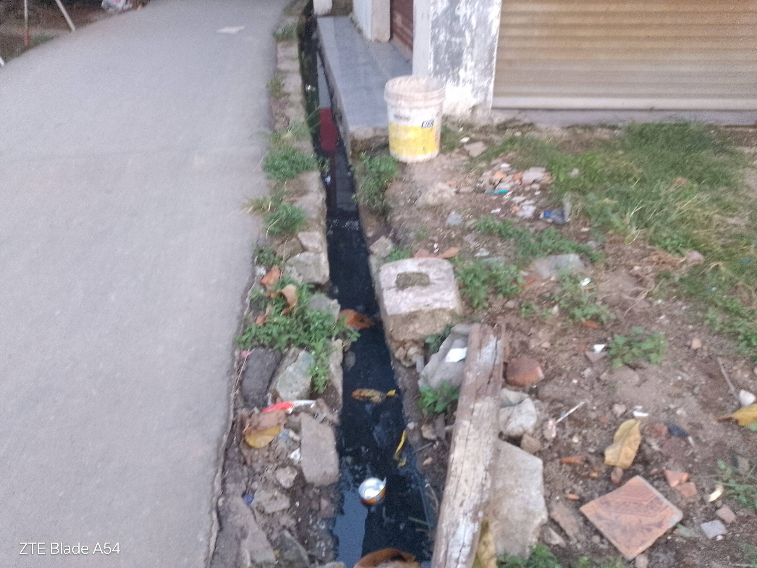 IMG 20251206 174257 scaled