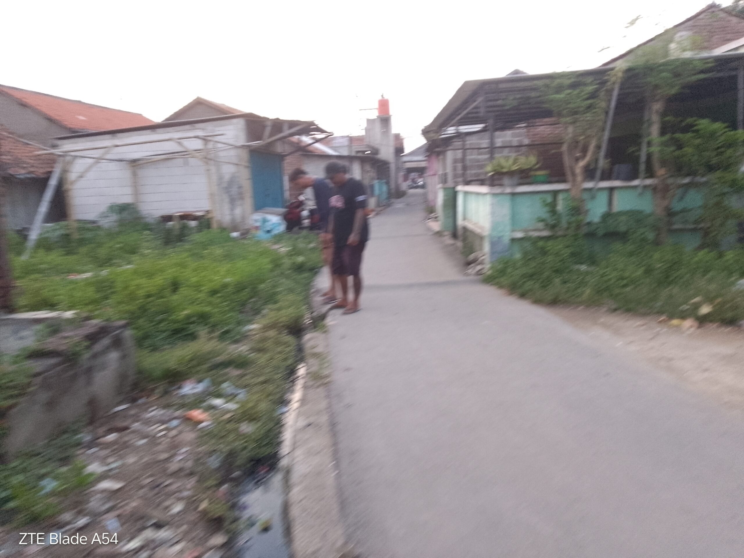 IMG 20251206 174629 scaled