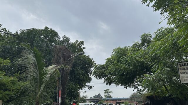 IMG 8414 Klik Pantura