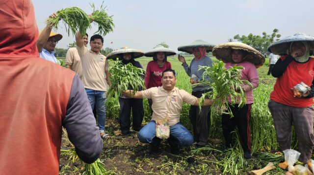 IMG 20260227 WA0010 Klik Pantura