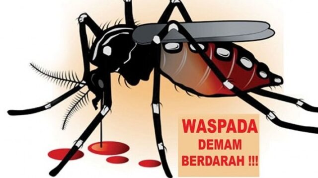 Screenshot 20260212 0551562 Klik Pantura