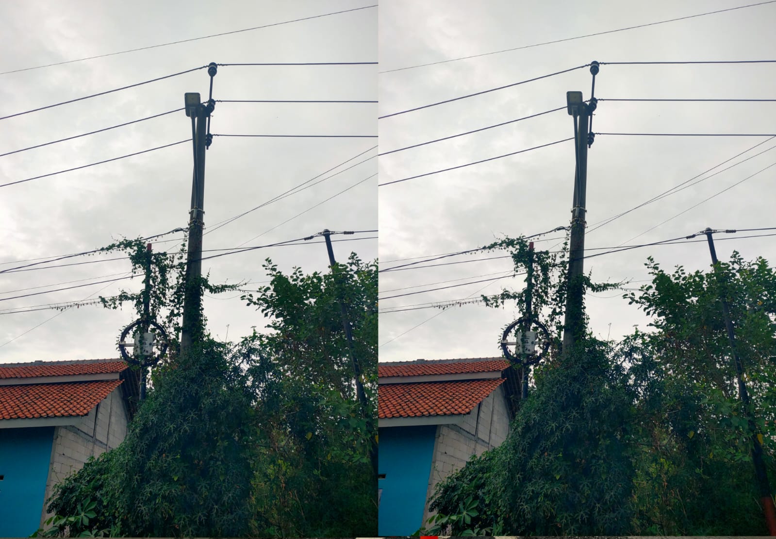 IMG 20260326 WA0069 Klik Pantura