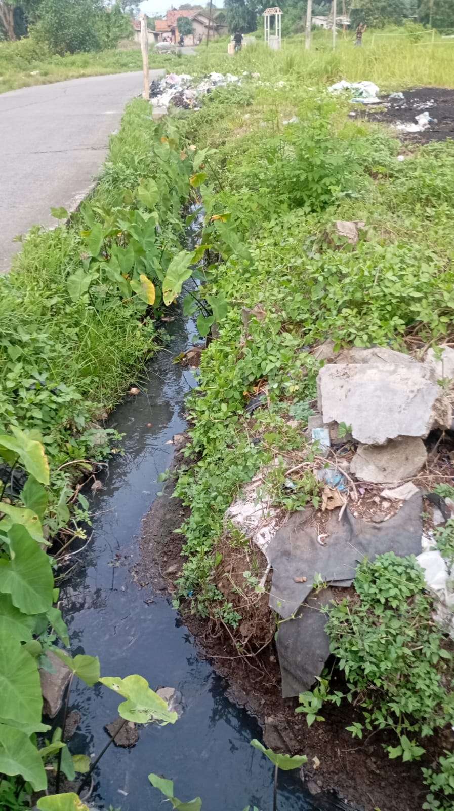 IMG 20260414 WA0103 Klik Pantura