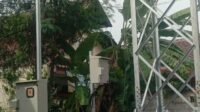 IMG 20260508 WA0011 Klik Pantura