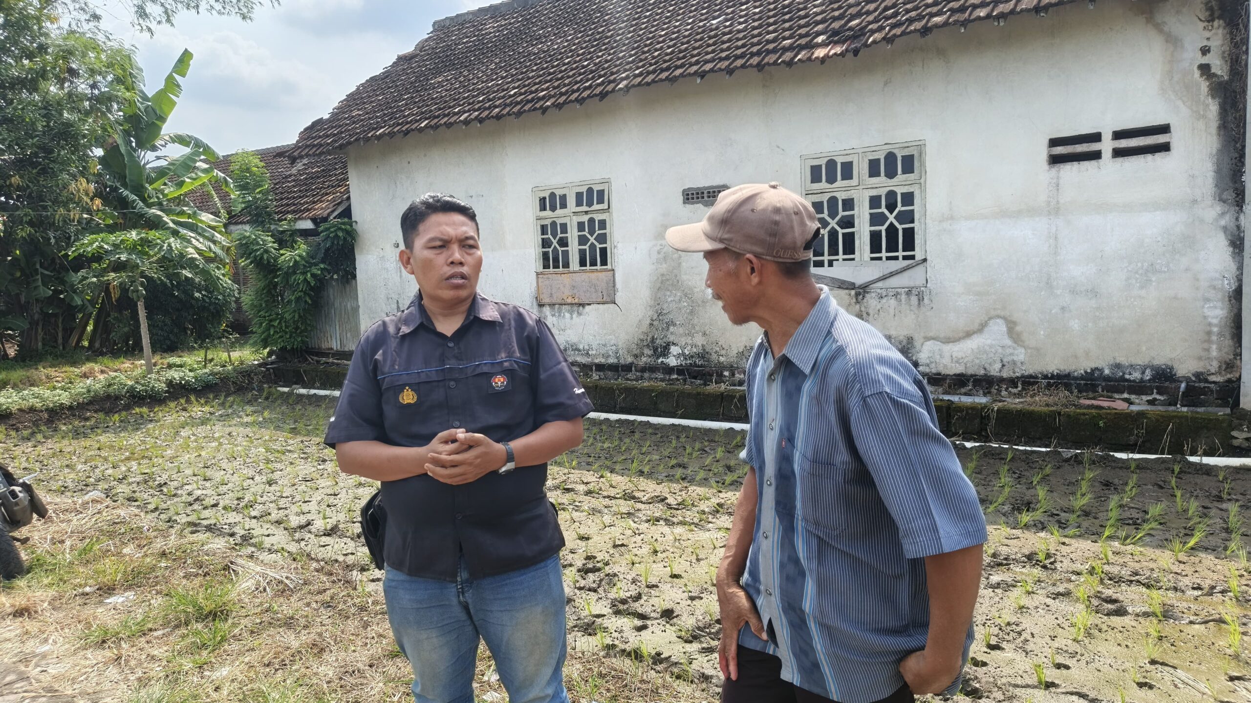 IMG 20260530 WA0024 scaled Klik Pantura