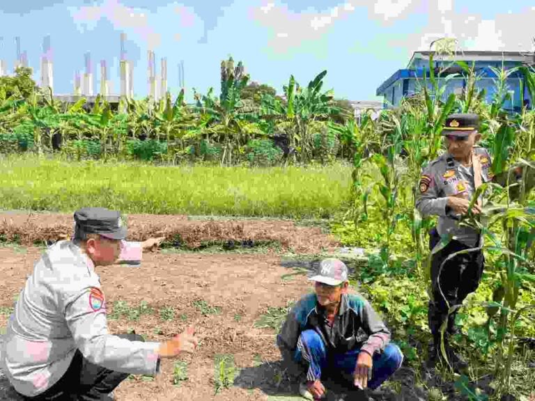 IMG 20260531 WA0025 Klik Pantura