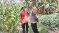 IMG 20260609 WA0015 Klik Pantura
